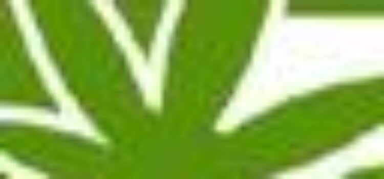 321cbd