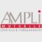 Ampli mutuelle