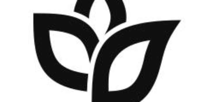 Ankorstore