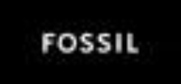 Fossil