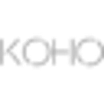 Koho