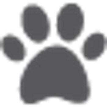 La Boutique Web des Animaux