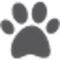 La Boutique Web des Animaux