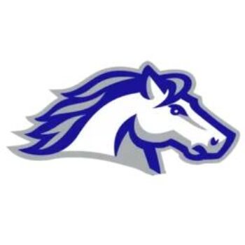 Pony