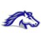 Pony