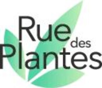 Ruedesplantes