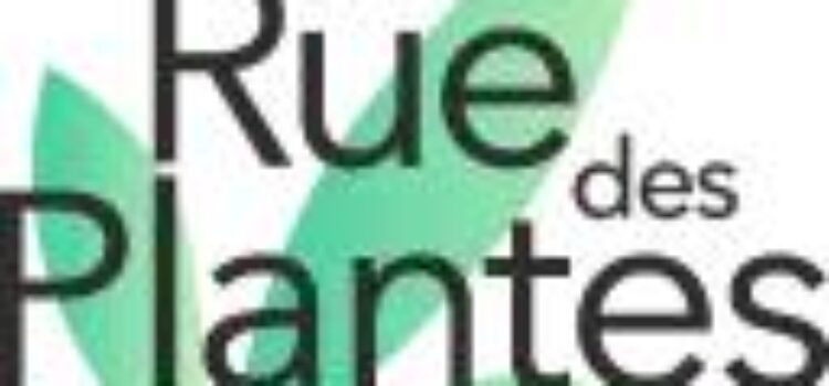 Ruedesplantes