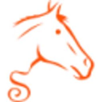 Sellerie online