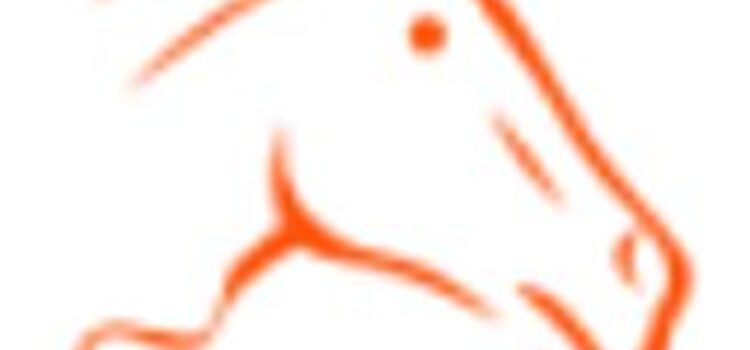 Sellerie online